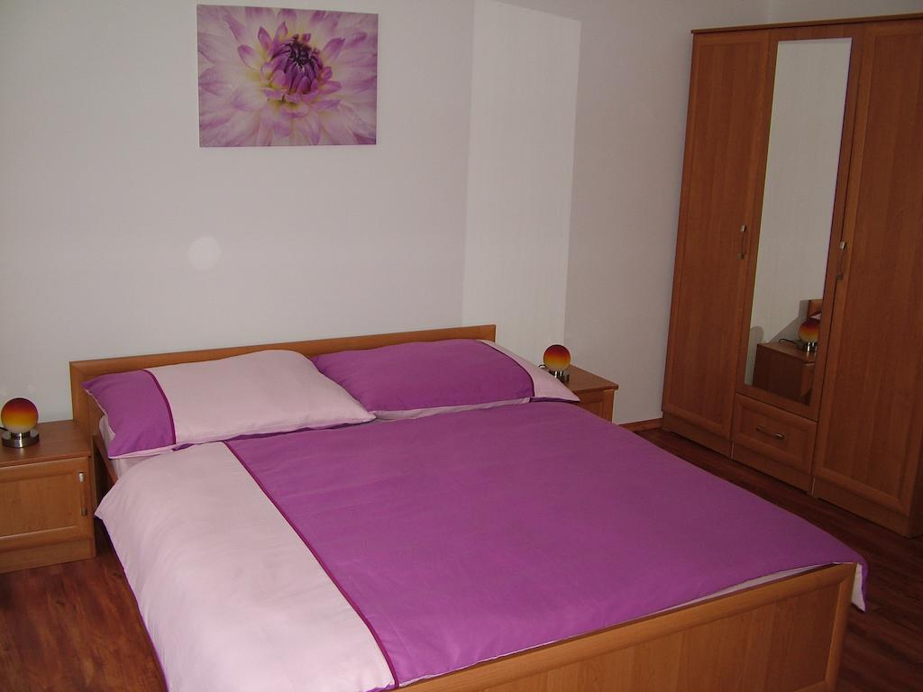 Penzion Rafael Poděbrady 部屋 写真
