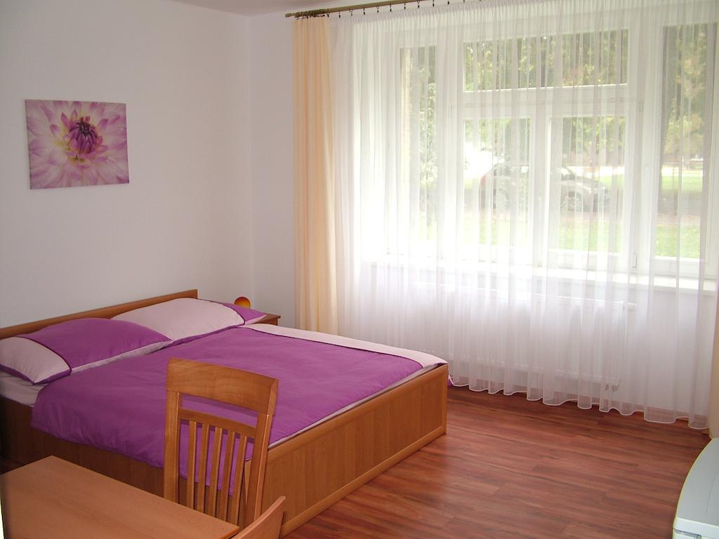 Penzion Rafael Poděbrady 部屋 写真