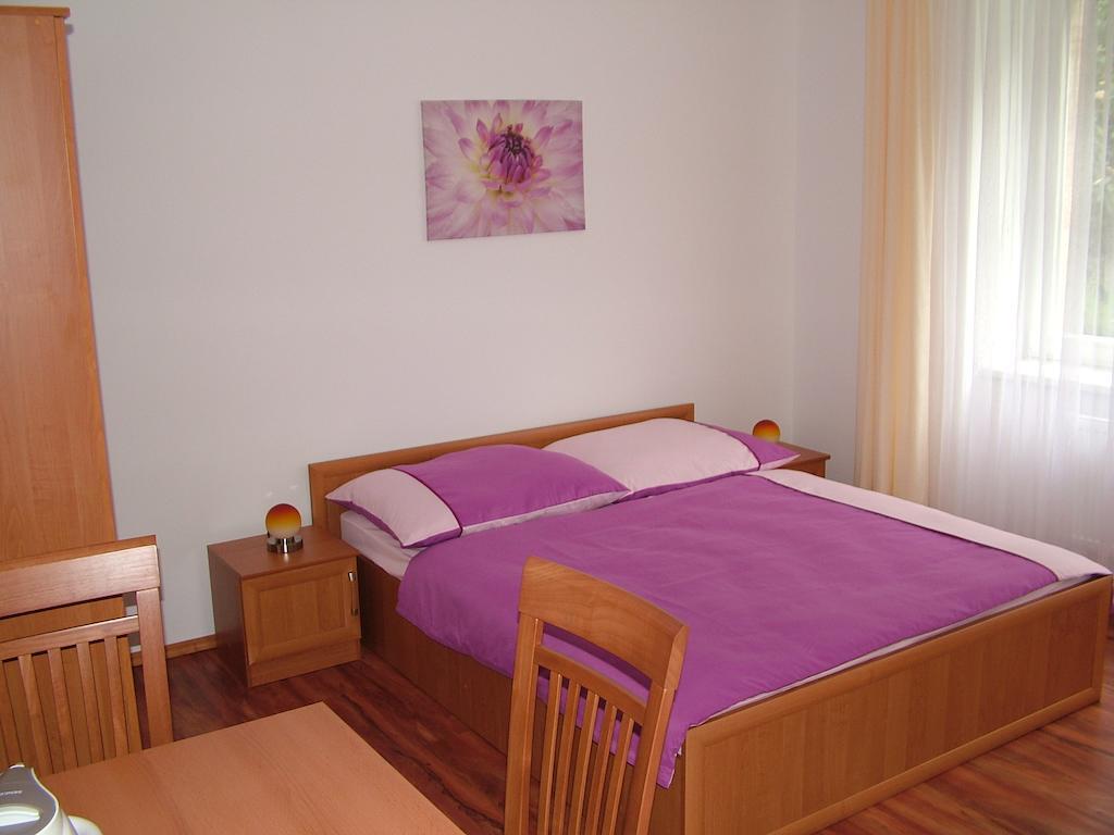 Penzion Rafael Poděbrady 部屋 写真